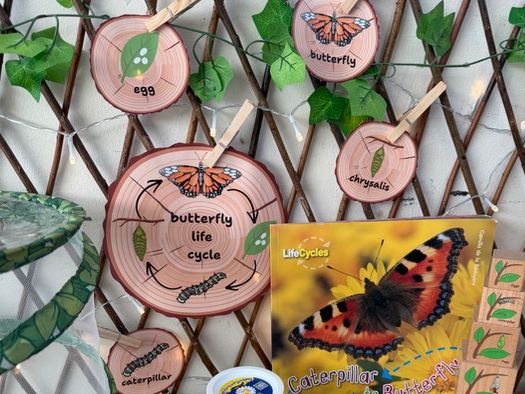 Butterfly life cycle printable