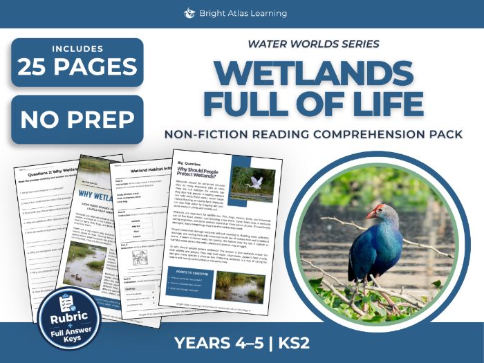 KS2 Non-Fiction Reading Comprehension Worksheets: Wetlands | Years 4–5