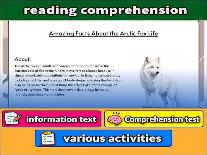 Amazing Facts About the Arctic Fox Life - zoology & Activities