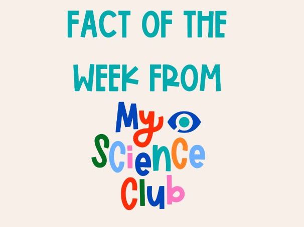 Fact of the week - set 5