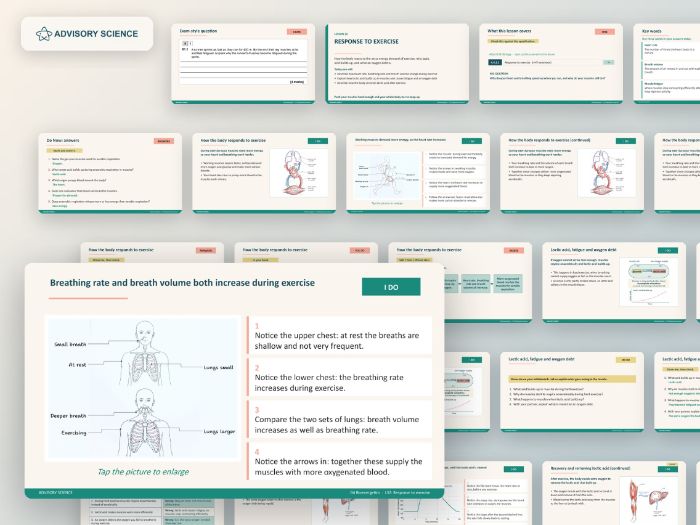 AQA GCSE Biology B4 Bioenergetics | 7 Lesson Presentations and Topic Test