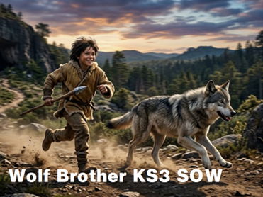 Wolf Brother KS3 SOW