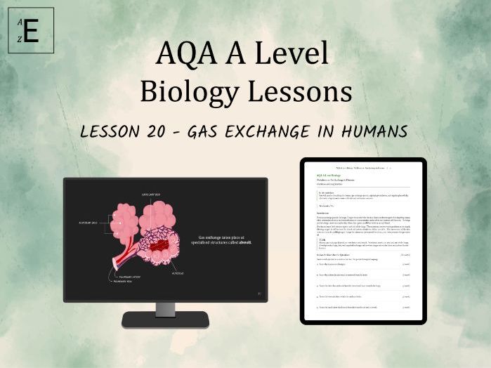 AQA A Level Biology Lesson 20 - Gas Exchange in Humans