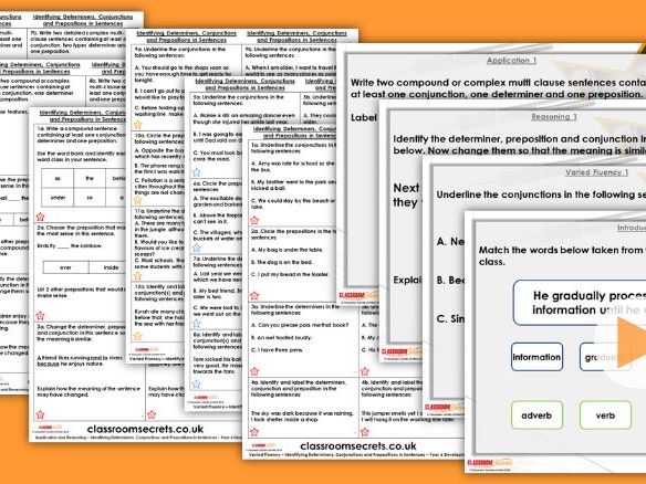 Determiners homework year 6 08 image