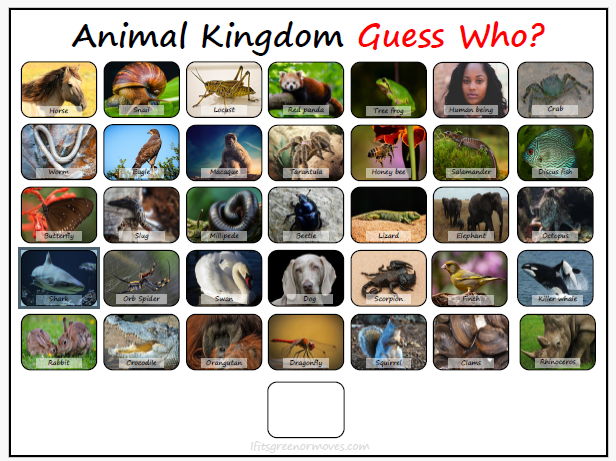 Animal Classification Guessing Game | KS2 KS3 Classification Activity