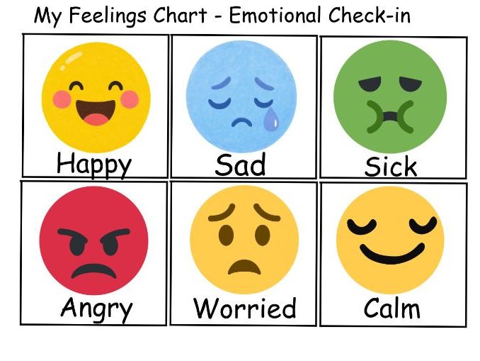 My Feelings Chart- Emotional check in for SEND and wellbeing