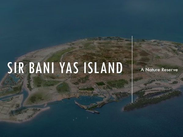 Sir Bani Yas Island – Wildlife, Tourism and Sustainability (Grade 4–5 UAE Social Studies)