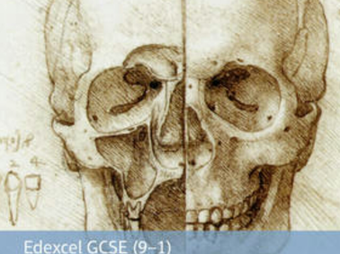The British sector of the Western Front, 1914-1918 - 5.3