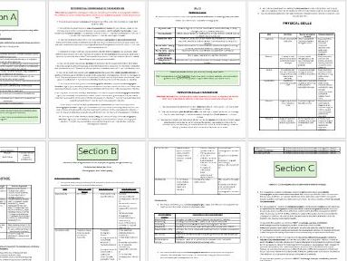 GCSE Dance MEGA Teacher Guide