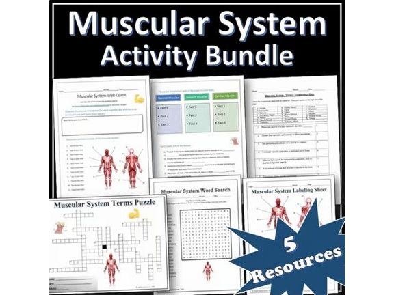 Muscular System - Science Activity Bundle | Webquest | Puzzles | EDITABLE
