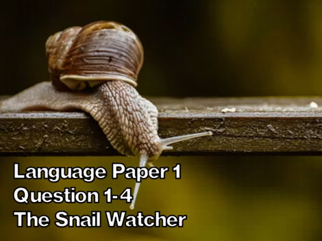 AQA English Language Paper 1 Section A - The Snail Watcher (Highsmith)