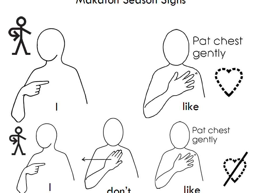 Makaton Vocabulary- Seasons
