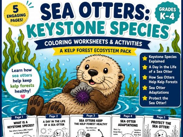 Sea Otters: Keystone Species | Kelp Forest Ecosystem Worksheets | Ocean Science