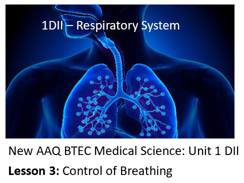 NEW: AAQ BTEC Medical Science Unit 1DII Respiratory System - Lesson 3: Control of Breathing