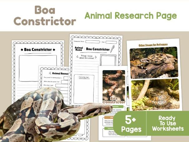 Boa Constrictor Worksheets | Snake Facts, Habitat and Life Cycle