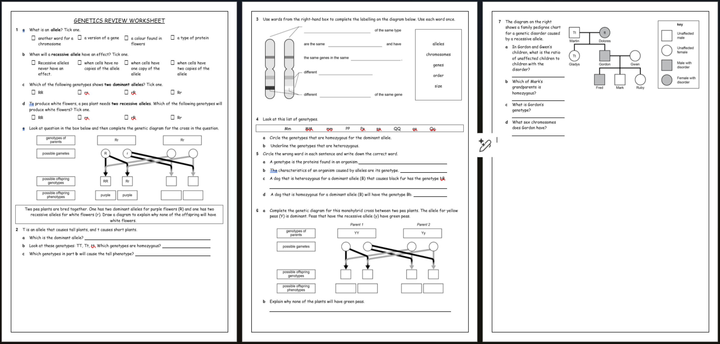 docx, 343.25 KB