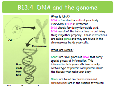 Foundation Text on DNA and the Genome