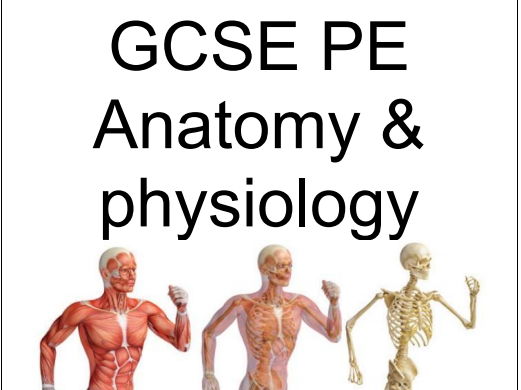 GCSE PE workbook Anatomy and Physiology