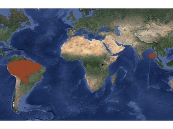 OUTSTANDING TRF Debate lesson- 'Should we contact the last remaining tribes on Earth?'