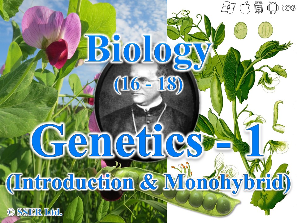 BioA_3.7.1 Genetics 1 - Introduction & Monohybrid