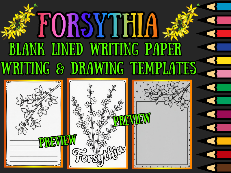 Forsythia Coloring Pages & Blank Lined Writing Paper Templates NO PREP Printable