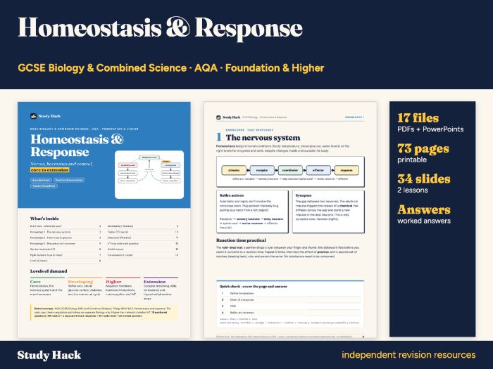 GCSE Biology Homeostasis and Response Pack (AQA)