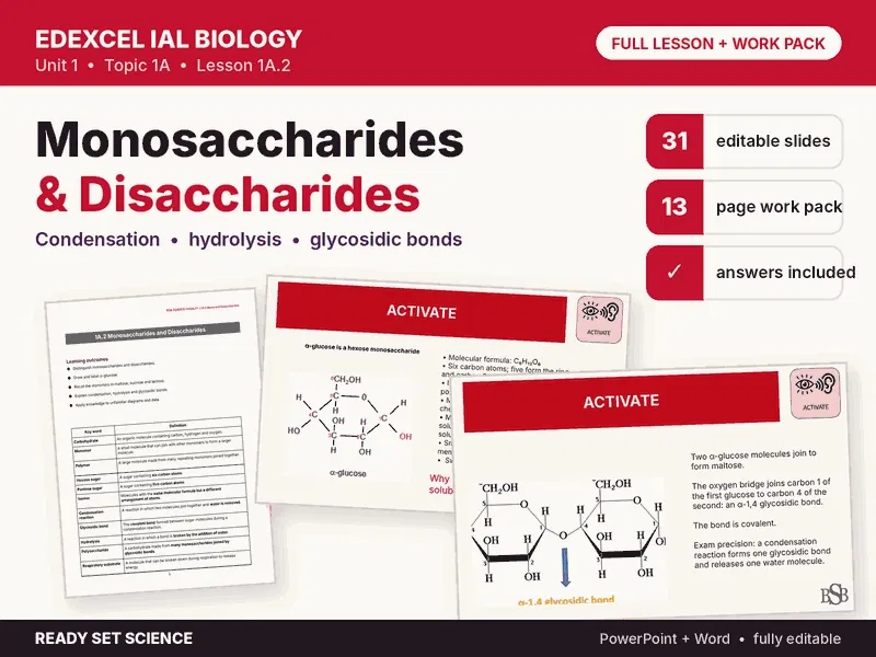 1A.2 Monosaccharides and Disaccharides | Edexcel IAL Biology | Full Lesson + Work Pack