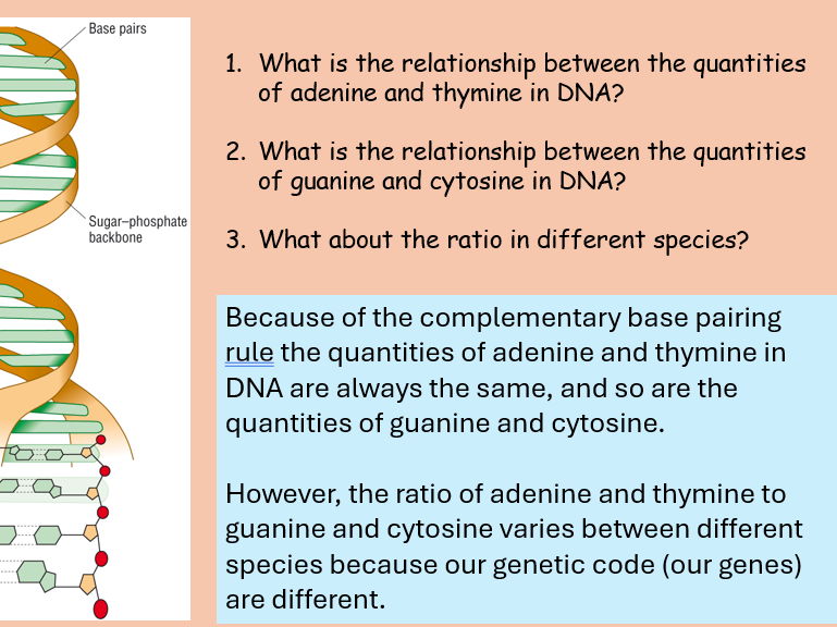 AQA A level Biology Topic 1. Structure of DNA and RNA (3.1.5.1)