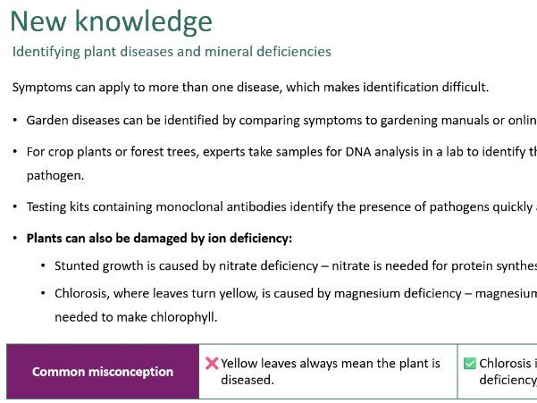 Detection and identification of plant diseases