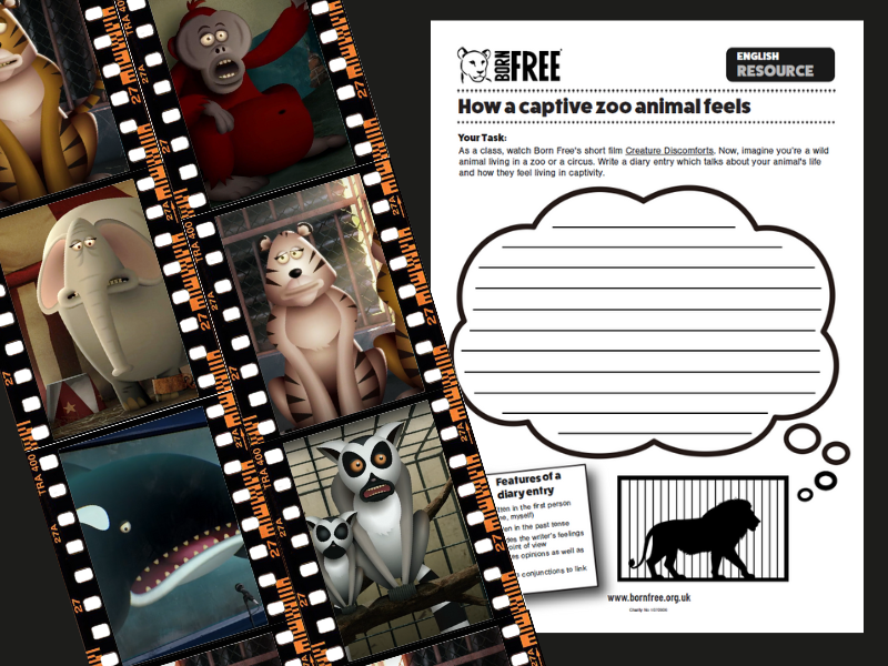Captive Animal Diary - KS2 English Worksheet