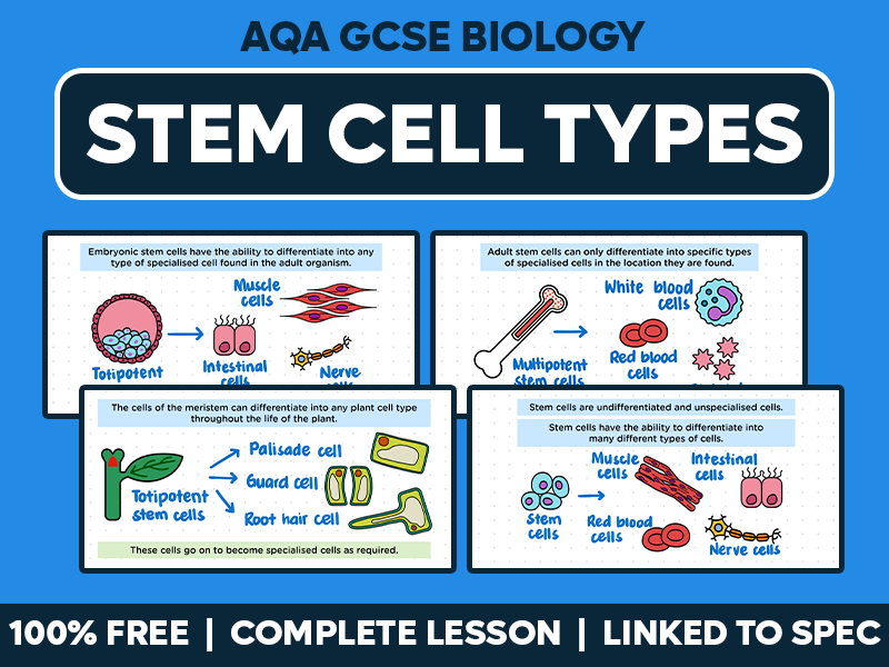 GCSE AQA Biology Complete Lesson - Stem Cell Types