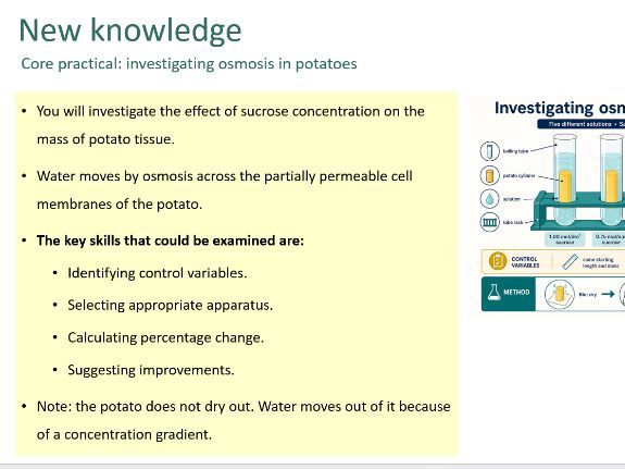Osmosis, including required practical 3 (GCSE)