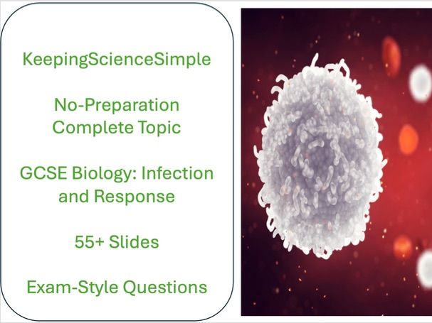 Bundle - Infection and Response