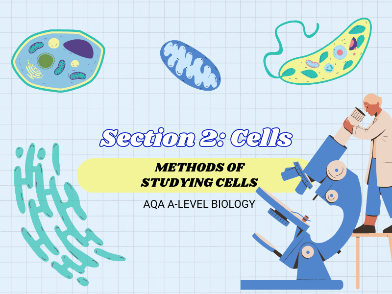 Methods of Studying Cells  - AQA A-Level Biology – (Section 2: Cells, Chapter 3.1)