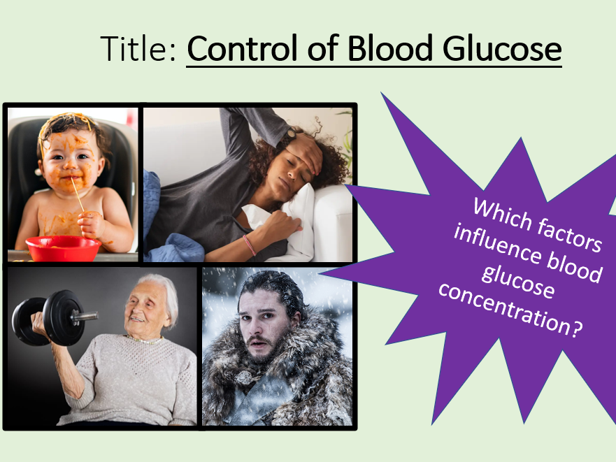 Control of Blood Glucose AQA A level Biology