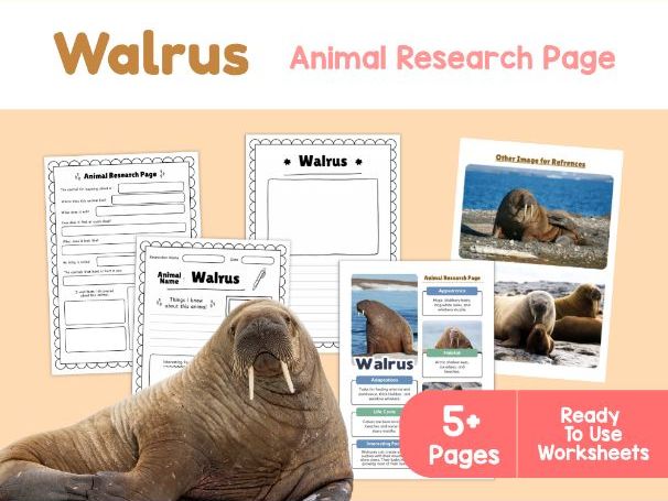Walrus Worksheets | Arctic Habitat, Tusks and Survival Adaptations