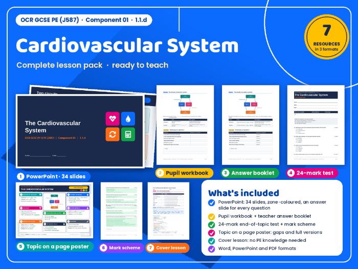 OCR GCSE PE (J587) 05: Cardiovascular System – Complete Topic Pack