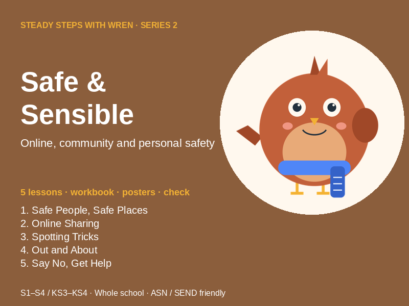 Safe & Sensible: Online, Community and Personal Safety, Secondary