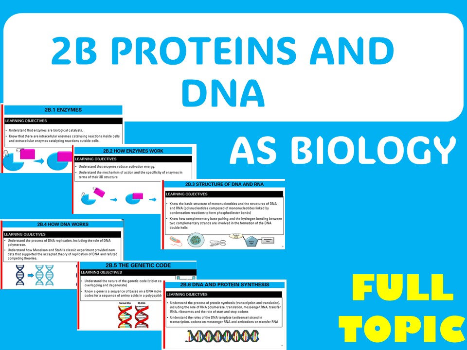 Proteins and DNA – AS FULL TOPIC