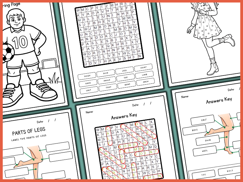 Leg Body Parts | Human Anatomy | Labeling | Biology | Coloring ...