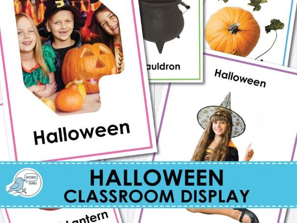 Halloween Classroom Display | Real Photo Posters | 16 Pages | Flash Cards & Wall Decor