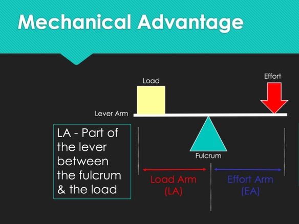 Edexcel GCSE PE - Lever Systems