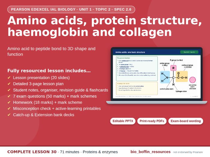 IAL Biology Edexcel – Protein Structure