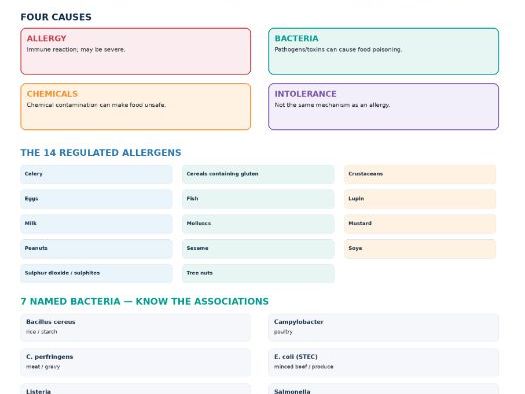 WJEC Hospitality & Catering 1.4.1 Food-related Ill Health | Teaching & Revision