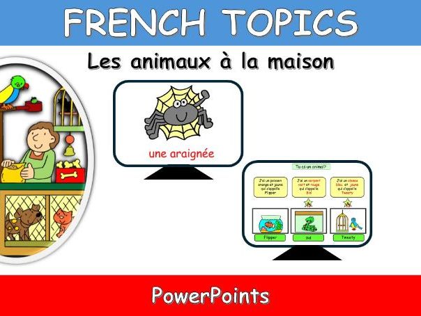 FRENCH TOPICS: PETS-LES ANIMAUX A LA MAISON POWERPOINTS