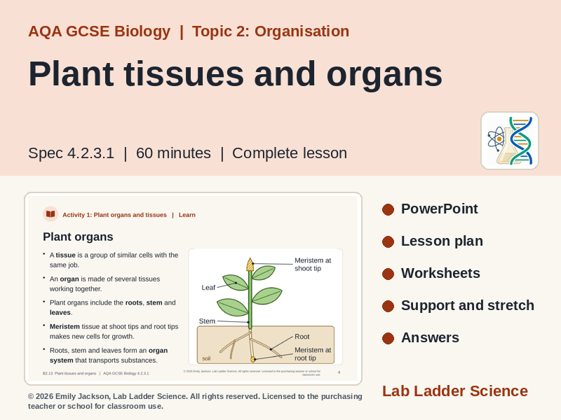 B2-13 Plant Tissues & Organs: AQA GCSE Biology