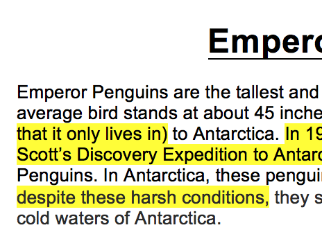 Emperor Penguins WAGOLL Year 5 Non-Chronological Information Text