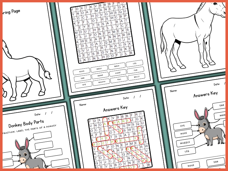 Donkey Body Parts | Mammal Anatomy | Labeling & Coloring | Farm Animals ...