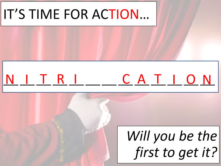 Recycling nitrogen (OCR A-level Biology)