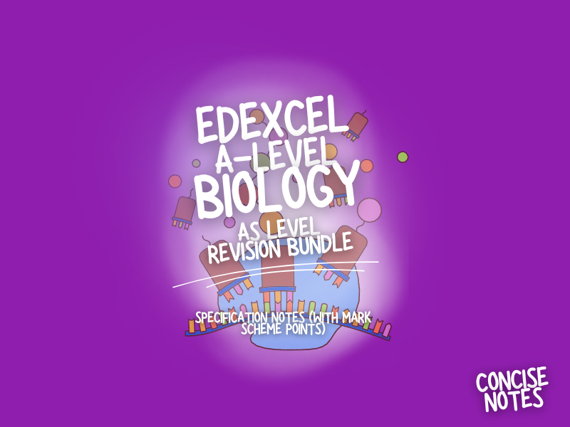 Edexcel International A Level Biology Units 1 2 3 – Full AS Revision Notes